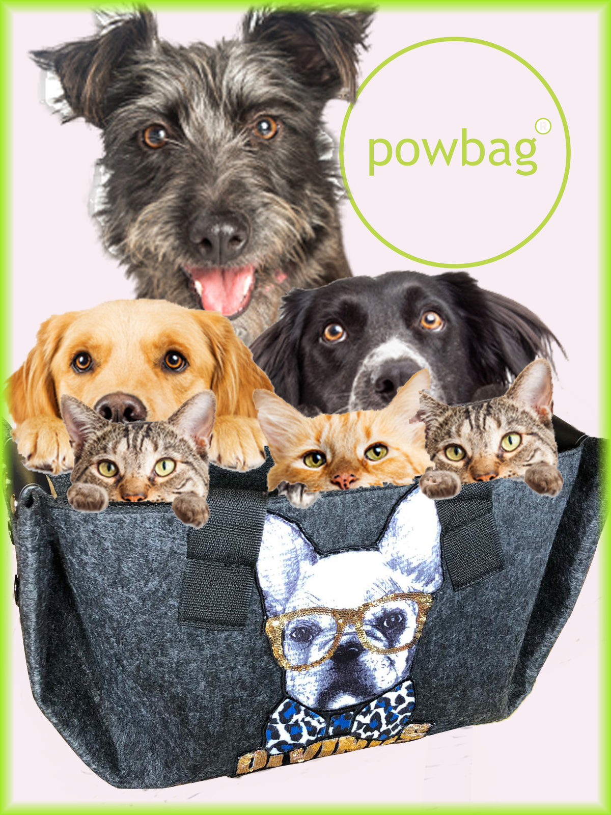 PetBAG – Keçe kumaştan evcil hayvan taşıma çantası, küçük köpek ve kediler için