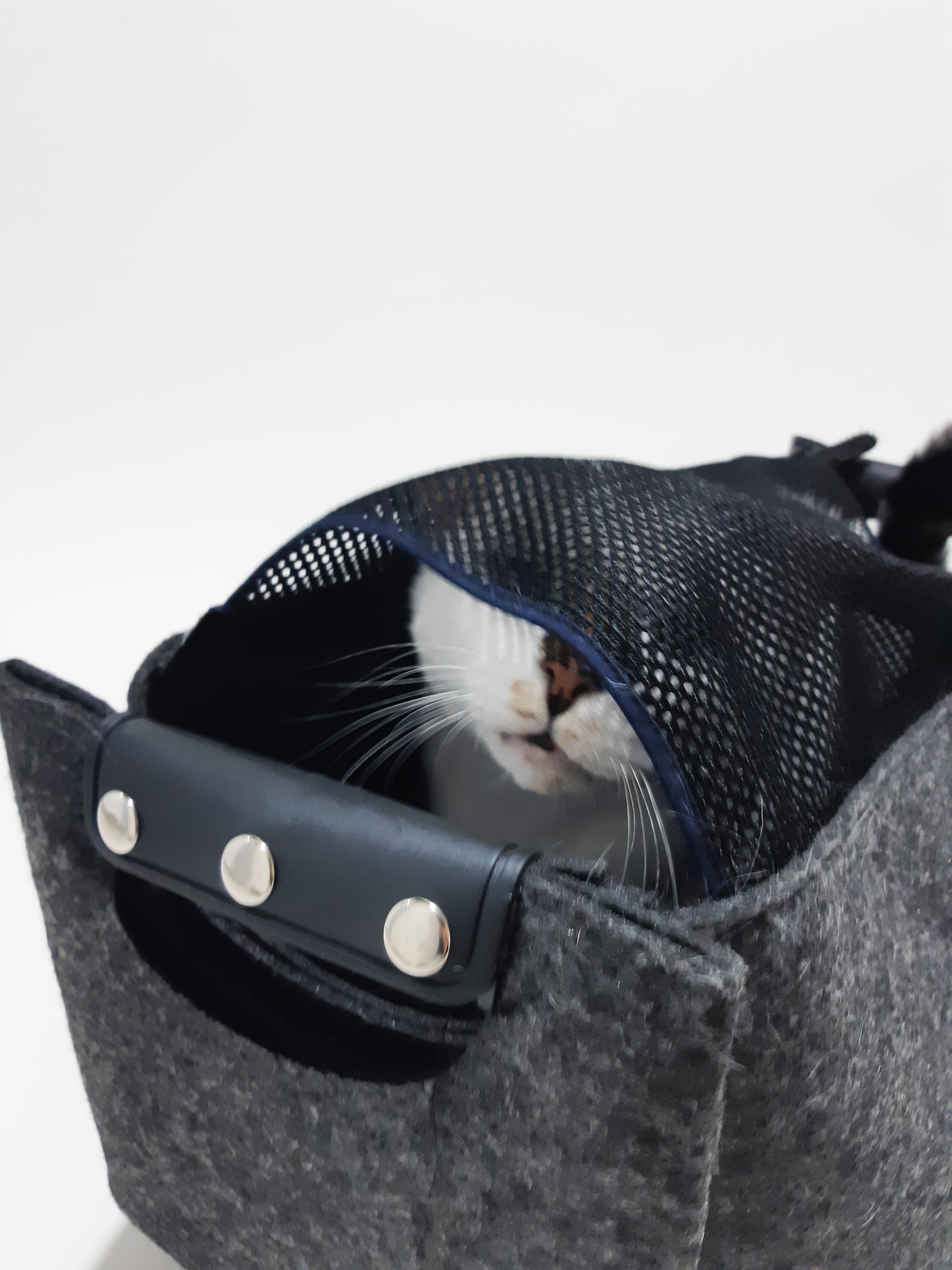 PetBAG – Keçe kumaştan evcil hayvan taşıma çantası, küçük köpek ve kediler için