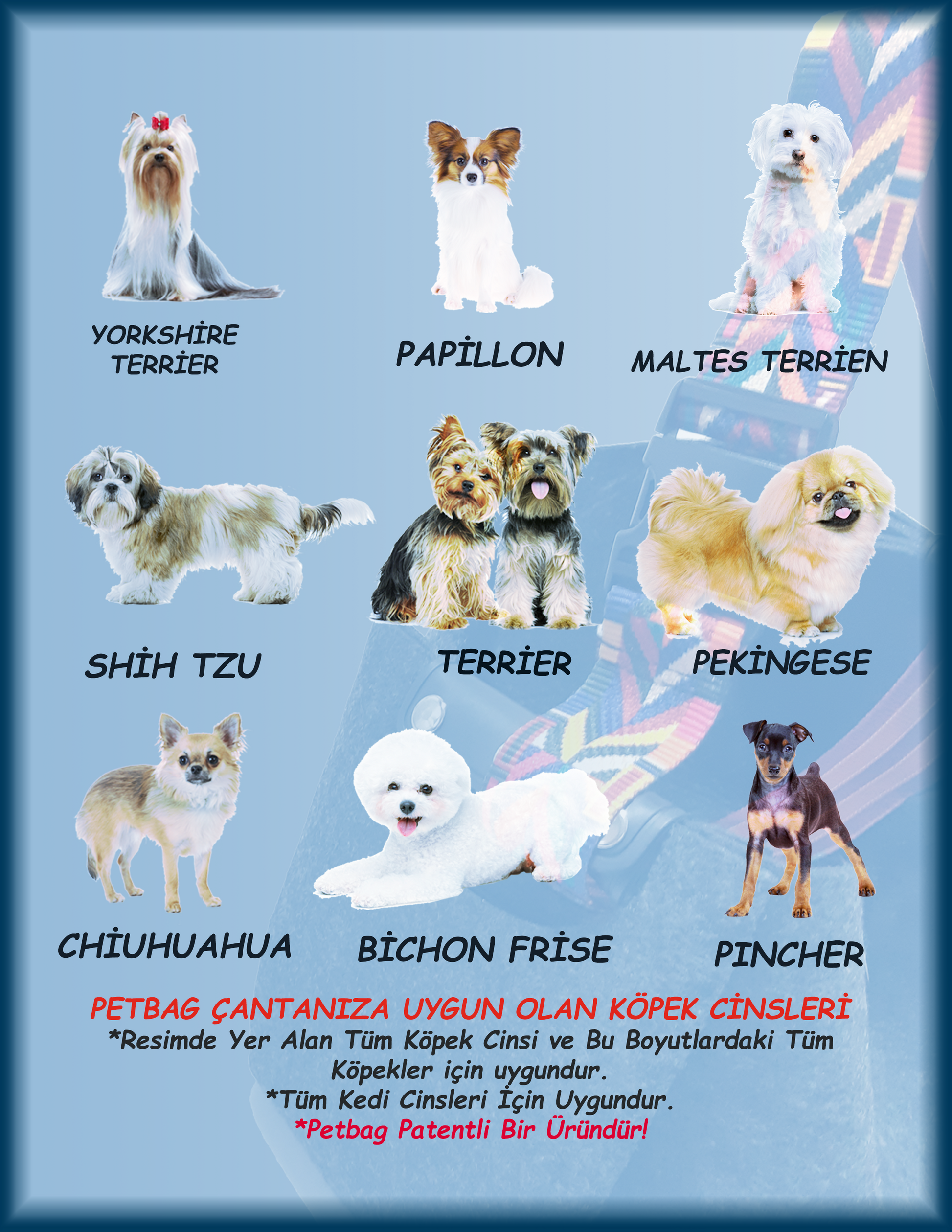 PetBAG – Keçe kumaştan evcil hayvan taşıma çantası, küçük köpek ve kediler için